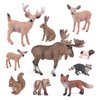 Realistic Wild Life Jungle Animal Figures Playsets 10 PCS White-Tailed Deer Squirrel Red Fox Rabbit Raccoon Pig Brown Bear Figurine Statue Party Favors Supplies Boys for Girls Kids