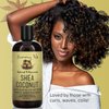 Sunny Isle Shea Coconut Moisturizing Shampoo 12oz | Infused with Jamaican Black Castor Oil | Curly Hair Shampoo | Hydrating for Dry Curls, Waves, Coils | Silicone, Paraben & Sulfate-FREE