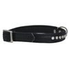 Dogs My Love Rhinestone Genuine Leather Dog Collar (Black, 11"-13.5" Neck)