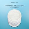 Aesthe Primary Cleanser - Moisturizing Makeup Remover & Cleanser for Normal to Dry Skin Types