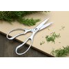 Yoshihiro All Stainless Steel Pull-Apart Japanese Kitchen Shears/Scissors 7.5 Inch (190mm) - Made in Japan