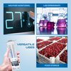 Sper Scientific Analog & Digital Min/Max Thermometer 800122 - Accurate Temperature Tracking, Weather-Resistant Design, Dual Display for Indoor & Outdoor Use, Ideal for Greenhouses, Labs & More - 2 pc