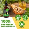 Jamaican Black Castor Oil,Body Massage Castor Oil for Relaxation,Cold-Pressed Castor Oil to Support Fuller-Looking, Skin Care Organic Castor Oil Massage Roller Ball 60ml