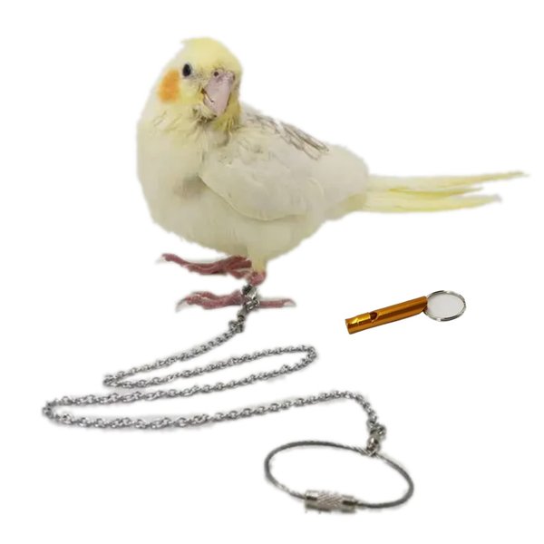 Bird Foot Chain Flying Stainless Steel Training Rope Outdoor Parrot Ankle Foot Ring Accessories Bird Harness Leash Prevent Escaping (Model7)