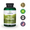 Swanson Saw Palmetto Herbal Supplement for Men Prostate Health Hair Supplement Urinary Health 540 mg 250 Capsules