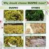 DUSPRO Dried Moss for Potted Plants, Forest Orchid Moss for Potting Mix, Sphagnum Potting Moss for Plants Indoor, Real Moss Soil Cover for Houseplant (5 OZ)