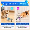 Interactive Dog Toys Automatic, Indoor Moving Dog Toy, Outdoor Floating Dog Water Toy, Motion Activated/USB Rechargeable Dog Balls to Keep Them Busy