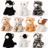 Lenwen 10 Pcs Cat Stuffed Animals Bulk Soft Cuddly Kitten Plush Sets Smitten Kittens Assorted Fluffy Stuffed Cats for Kiddos Birthday Graduation Gift Party Goodie Bags Stuffers(Sitting Style)