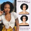 Lady Hanne Micro Twist Braided Double Full Lace Wigs for Black Women Mini Braid Wig with Baby Hair Short Curly Box Braid Lace Synthetic Black Hair