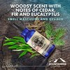Mountaineer Brand Beard Oil - WV Timber Scent - 100% Natural Conditioner and Softener For Men - Hydrates and Moisturizes for Beard Growth - Treats Dry Itchy Beards - 2oz 2 Pack
