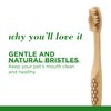 Burt's Bees for Pets Bamboo Bristle Dog Toothbrush - Naturally Derived, Ergonomic Handle, BPA Free