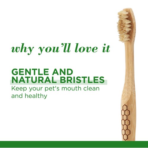 Burt's Bees for Pets Bamboo Bristle Dog Toothbrush - Naturally Derived, Ergonomic Handle, BPA Free