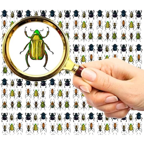 Nail Stickers Decal Transfers (5 Sheets) FLONZNAIL Bugs Vintage Illustration