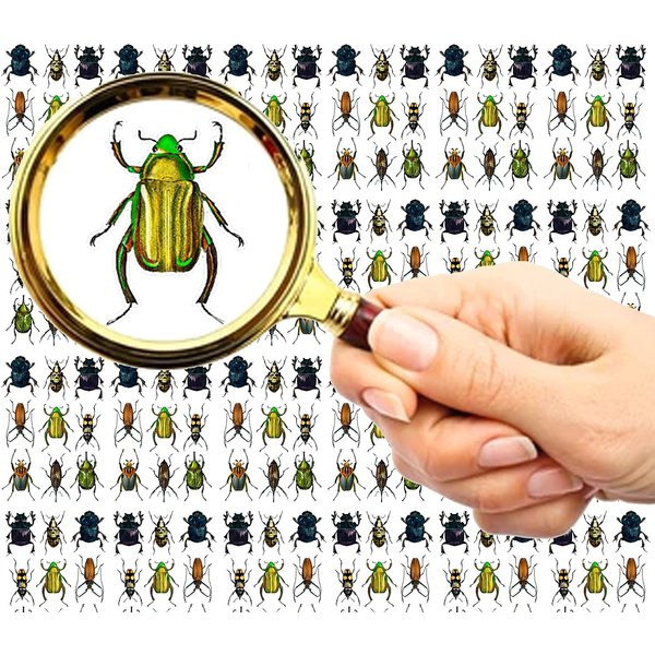 Nail Stickers Decal Transfers (5 Sheets) FLONZNAIL Bugs Vintage Illustration