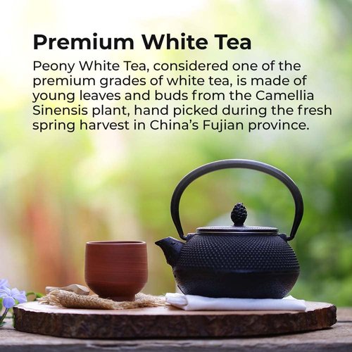Prince of Peace Premium White Tea, 100 Tea Bags – White Tea Bags – Prince of Peace – White Peony Tea – Camellia Sinensis Tea Bags – Prince of Peace Tea – Premium Grade Tea