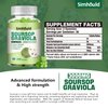 2 Pack Soursop Graviola Gummies - 3000mg Extra Strength Soursop Leaves Supplement with Vitamin C, Zinc - Digestive Aid, Immune Support & Antioxidant - Sugar-Free, Non-GMO, Vegan, 120 Counts