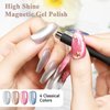 MIZHSE Moonlight Cat Eye Gel Polish For Nail 10ml, Magnetic Shimmer Crystal Cateye Gel with Magnet Stick Silver Blue Gloss Aurora Manicure Set for Ladies Home Salon DIY Nail Art
