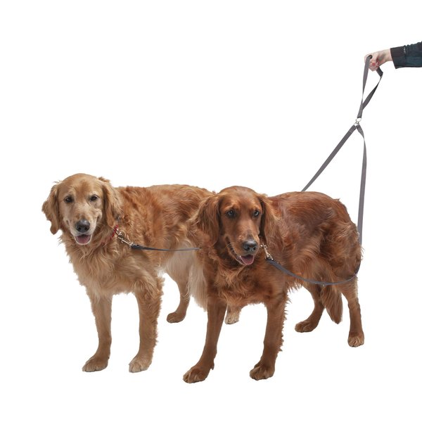 Furhaven Two Tails Walking Tangle-Free Dual Dog Leash - Gunmetal, One Size