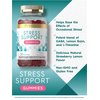 Carlyle Stress Support Gummies | 50 Count | with GABA and L-Theanine | Natural Strawberry Lemon Flavor | Non-GMO, Gluten Free Supplement