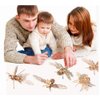 3D Wooden Insect Puzzle - 6 Piece Set Insect Animal Skeleton Assembly Model Puzzle - DIY Wooden Crafts 3D Puzzle - STEM Toys Gifts for Kids and Adults Teens Boys Girls