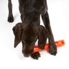12" Unique Spiky Durable Multi Textured Dog Toy Crinkle Stuff Sticks Fun Colors (Orange)