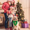 Christmas Dog Bandanas, 2 Pack Grinchs Bandanas for Dog Costume, Reversible Grinchmas Dog Bandana Holiday Dog Scarf Pet Collar for Small Medium Dogs Cats