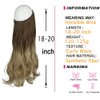 OMGREAET Brown Ombre Hair Extensions Light Brown to Light Blonde Wavy Curly Synthetic Hair Piece Invisible Wire Long 18Inch 4.2 Oz for Women Heat Friendly Fiber No Clip