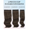 Isaic Clip in Synthetic Hair Extensions Long Straight Wavy Layered Hair Extensions 5PCS Thick Hairpieces Chocolate Brown Fiber Double Weft Natural Hair Extensions 16 Inch for Women