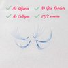VNE 500 Fans Colorful Lash Extensions | Premade Volume Lash Extensions | Premade Mega Volume Fans | Colored Lash Extension | Russian Volume Eyelash Extensions |6D, purple, D Curl, 14 mm