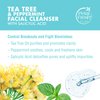 Petal Fresh Tea Tree & Peppermint Facial Cleanser, Blemish Control, Clean Skincare, Daily Facial Cleanser, Vegan and Cruelty Free, 5 oz