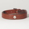 Medium Genuine Leather Hand-Carved Padded “Ponderosa” Dog Collar, fits Neck Size 14" - 18"