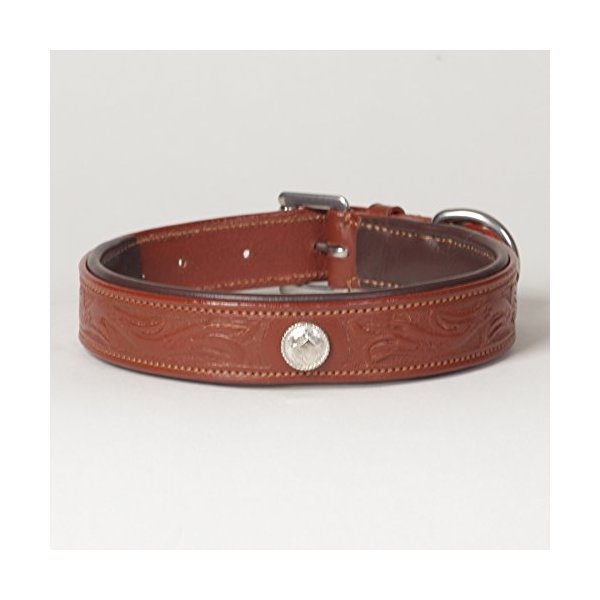 Medium Genuine Leather Hand-Carved Padded “Ponderosa” Dog Collar, fits Neck Size 14" - 18"