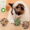 FOWSRHRG 3Pcs Cat Catnip Toy, Natural Silvervine Catnip Ball Toy with Bell, Interactive Cat Toys for Indoor Cats Kitten, Cat Chew Toy for Cleaning Teeth, Relieves Anxiety and Loneliness