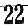 Black Glitter Look at You Turning 22 & Shit Banner, Happy 22nd Birthday/Level 22 Unlocked/Cheers to 22 Years, Funny 22nd Birthday Party Decorations Supplies