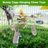 MQFORU Rabbit Hanging Toys, Chinchilla Chew Toys, Guinea Pig Toys, Small Animal Toys, Bunny Treats Toys Cage Accessories for Teeth, Hamsters Rats Toys for Snacks, Food Grade Materials Dyes