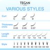 TEGAN LASH 500 Promade Fans Volume Eyelash Extensions, Handmade Loose False Eyelashes, From 3D - 16D, 0.03/0.05/0.07 Thickness, C/CC/D Curl, 9-15mm Length, Pestanas Pelo A Pelo (3D-0.07-C-11)