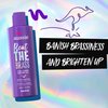 Aussie Beat The Brass Paraben-Free Purple Shampoo for Color-treated Hair, 8 Fl Oz