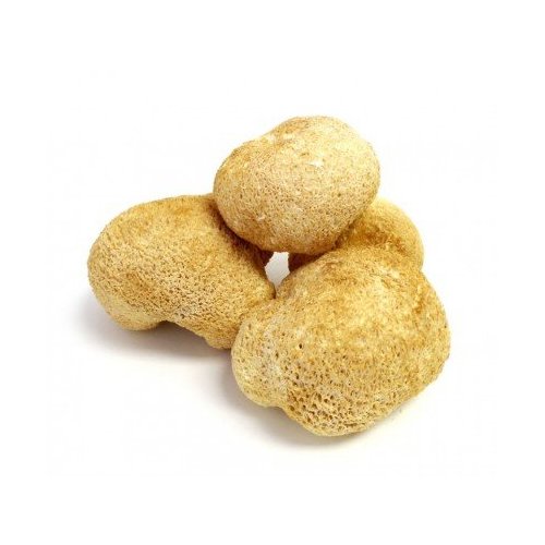 Dried Lion's Mane Mushrooms - 4 oz. Life Gourmet Shop