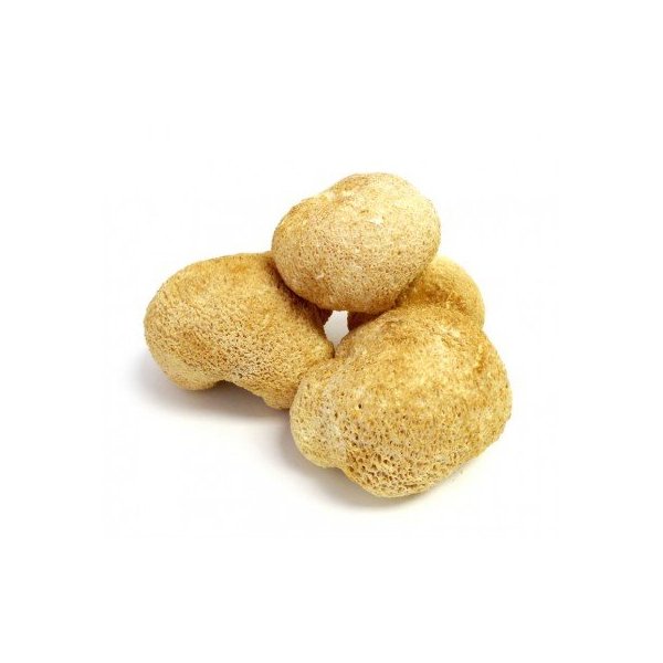 Dried Lion's Mane Mushrooms - 4 oz. Life Gourmet Shop