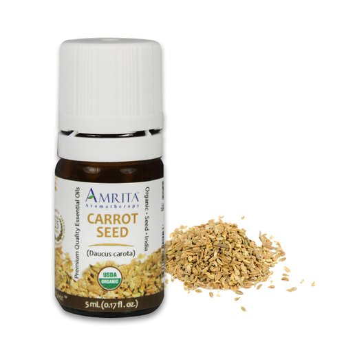 Amrita Aromatherapy Organic Carrot Seed Essential Oil, 100% Pure Undiluted Daucus carota, Therapeutic Grade, Premium Quality Aromatherapy oil, Tested & Verified, 5ML