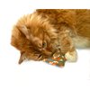 One Organic Catnip Toy from six designs, Made with GOTS Certified Organic Fabric, Organic Catnip, Organic Thread, Handmade in the USA