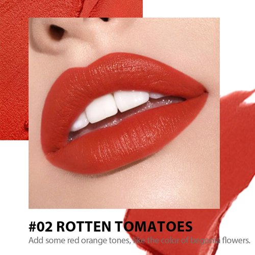 BINGBRUSH Moisturizing and Silky Velvet Lipstick Pack Set, Matte Longwear Waterproof Smooth Color Lip Crayon - Nourishing Lipstick Lipgloss Lip Stain (02#Milk orange red brown)