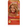 Creme of Nature Exotic Shine Hair Color With Argan Oil from Morocco, 10.0 Honey Blonde, 1 Application