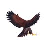 MOJO – Golden Eagle | Hand-Painted Toy Figure | Wildlife Collection | True to Life & Highly Detailed | Designed in UK