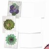 The Best Card Company - 10 Blank Note Cards with Envelopes (4 x 5.12 Inch) - Bulk All Occasion Cards Boxed - Shiplap Succulents AM6438OCB-B1x10