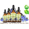 ORGANIC BLACK CUMIN SEED OIL Nigella sativa 100% Pure Natural Virgin Undiluted 2 Fl.oz.- 60 ml for Face, Skin, Hair, Lip, Nails. Rich in Vitamin C, vitamin E by Botanical Beauty
