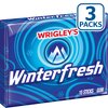 Winterfresh Chewing Gum, Winterfresh, 4.28 Ounce