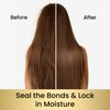 MOEHAIR Moeplex Seal | Hair Bond Repair Conditioner | Strengthens Natural, Colored & Bleached Hair | Infused with Natural Oils | Nourishes Hair with Argan Oil, Pro-Vitamin B5 and Fibroin (16 Fl. Oz)