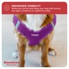 Downtown Pet Supply Step in Dog Harness for Small Dogs No Pull, Large, Purple - Adjustable Harness with Padded Mesh Fabric and Reflective Trim - Buckle Strap Harness for Dogs