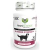 VetriScience Bladder Strength Dog UTI Treatment, 90 Tablets – Vet Recommended Bladder Supplement, Urinary Tract Health, Bladder Control, Prevent Bladder Crystals and Stones